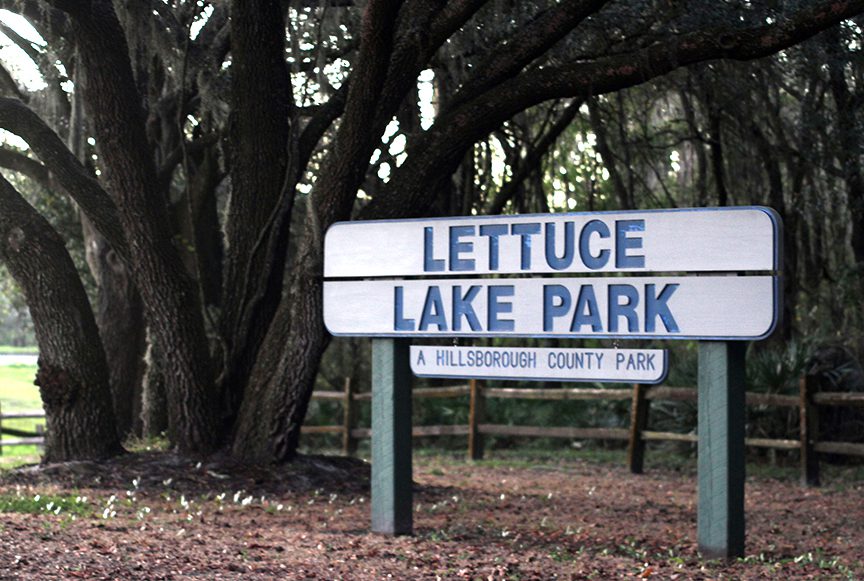 LETTUCE LAKE1 rgb
